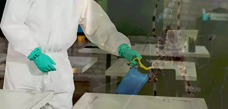 Why Buyers Still Want Homes With Pest Infestations in Lincoln, NE?