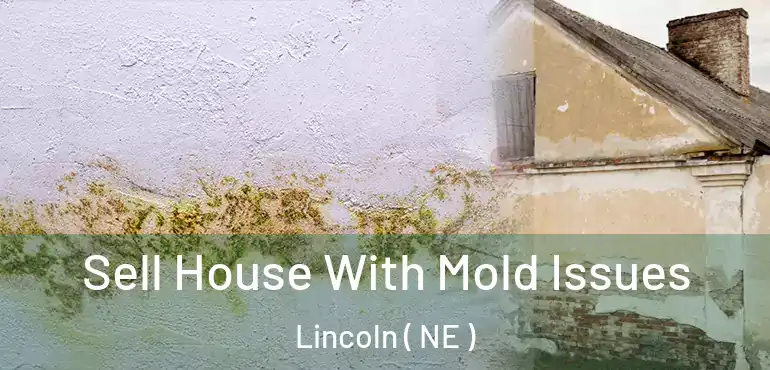  Sell House With Mold Issues Lincoln ( NE )